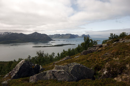 Bergsøyan