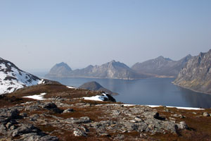 Torskenøya